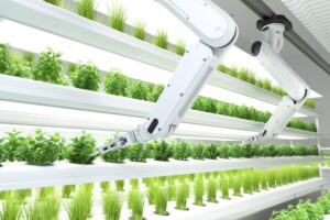 Cómo la Tecnología Está Transformando la Industria de la Agricultura Vertical